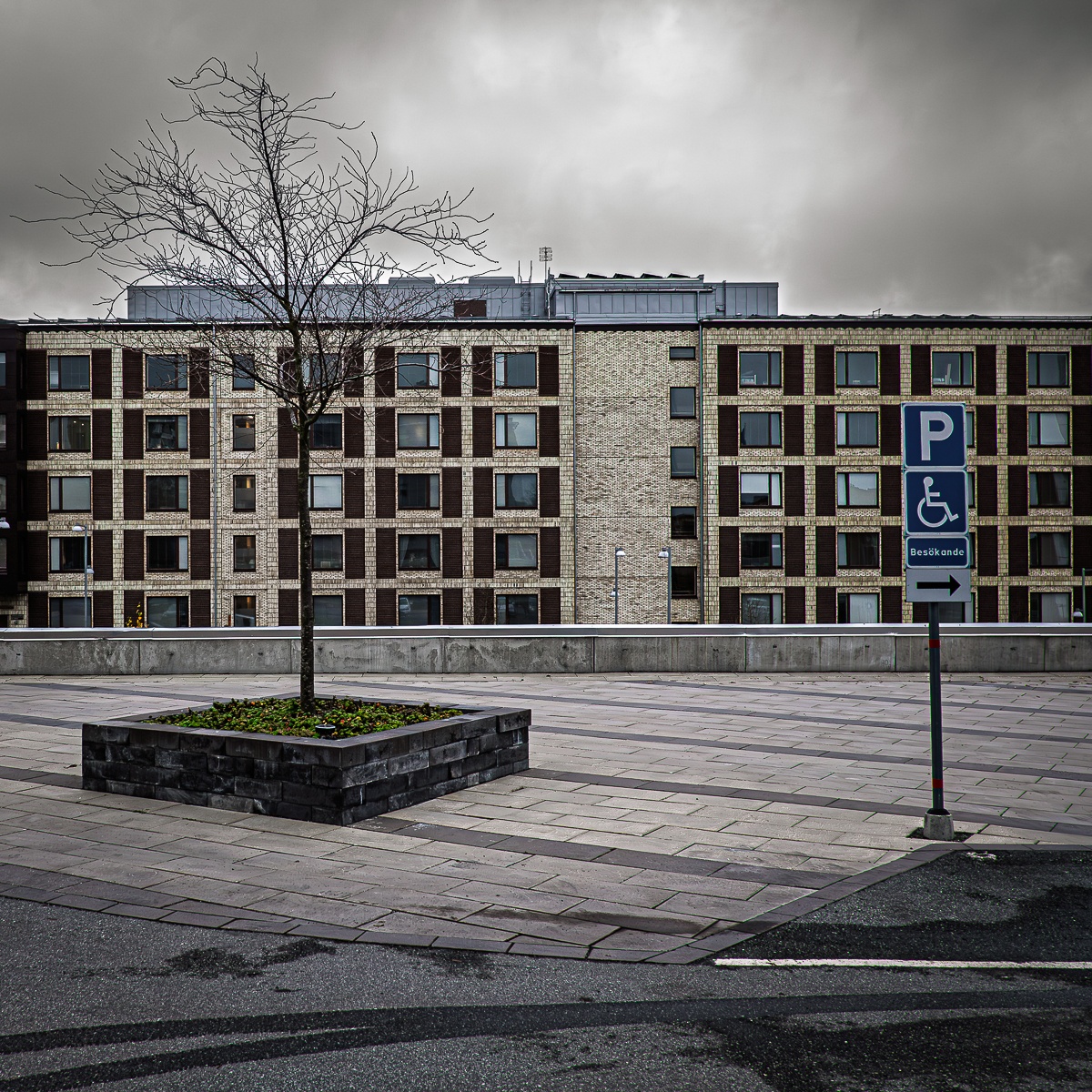 Vårdträd