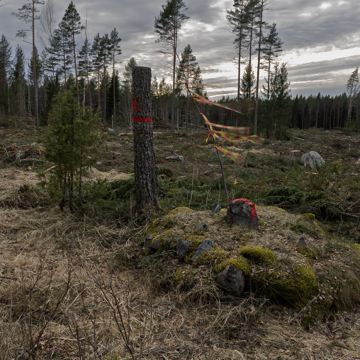 Avvikare med värde